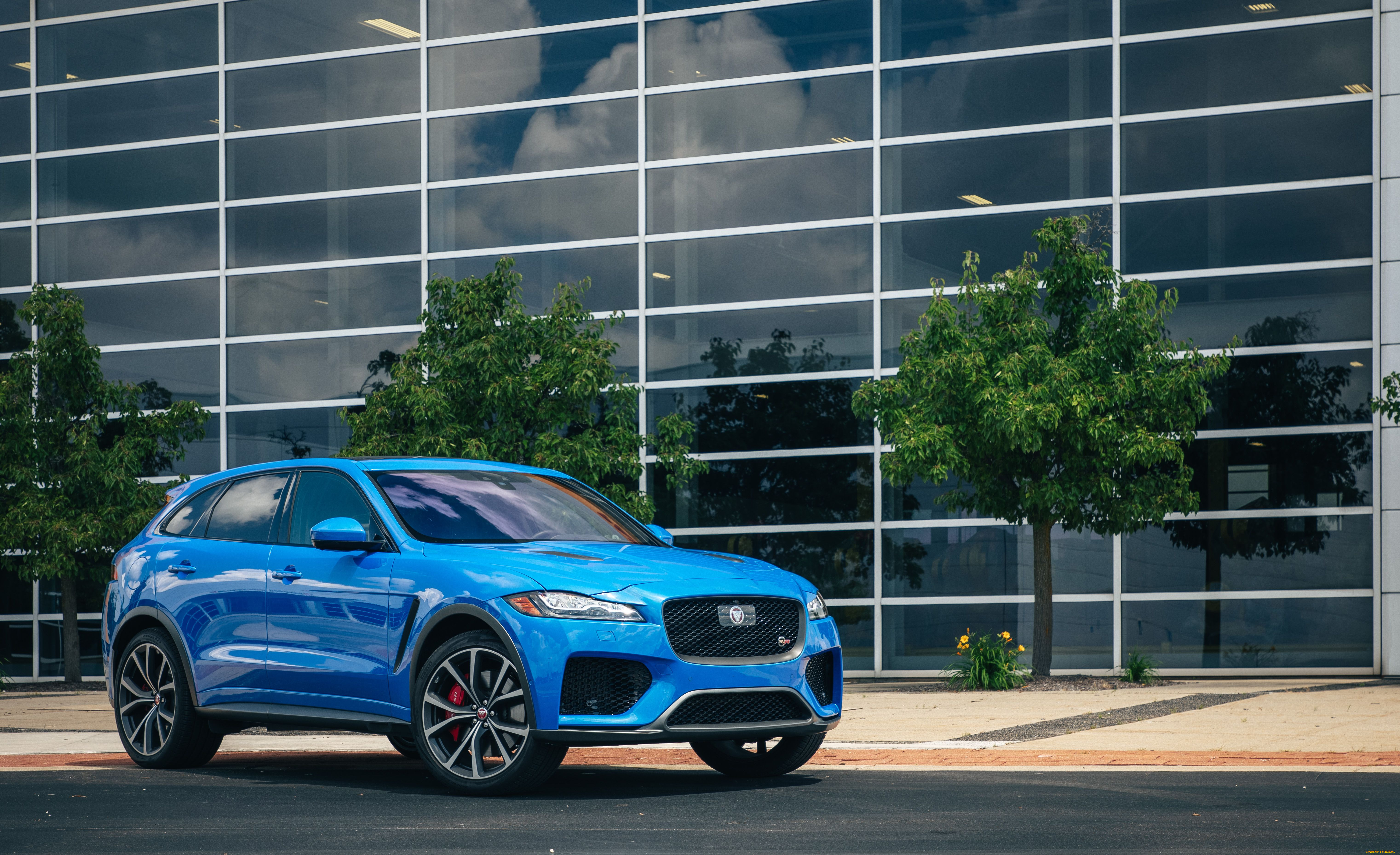 , jaguar